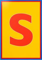 Dazzle Letter S by Sir Peter Blake
